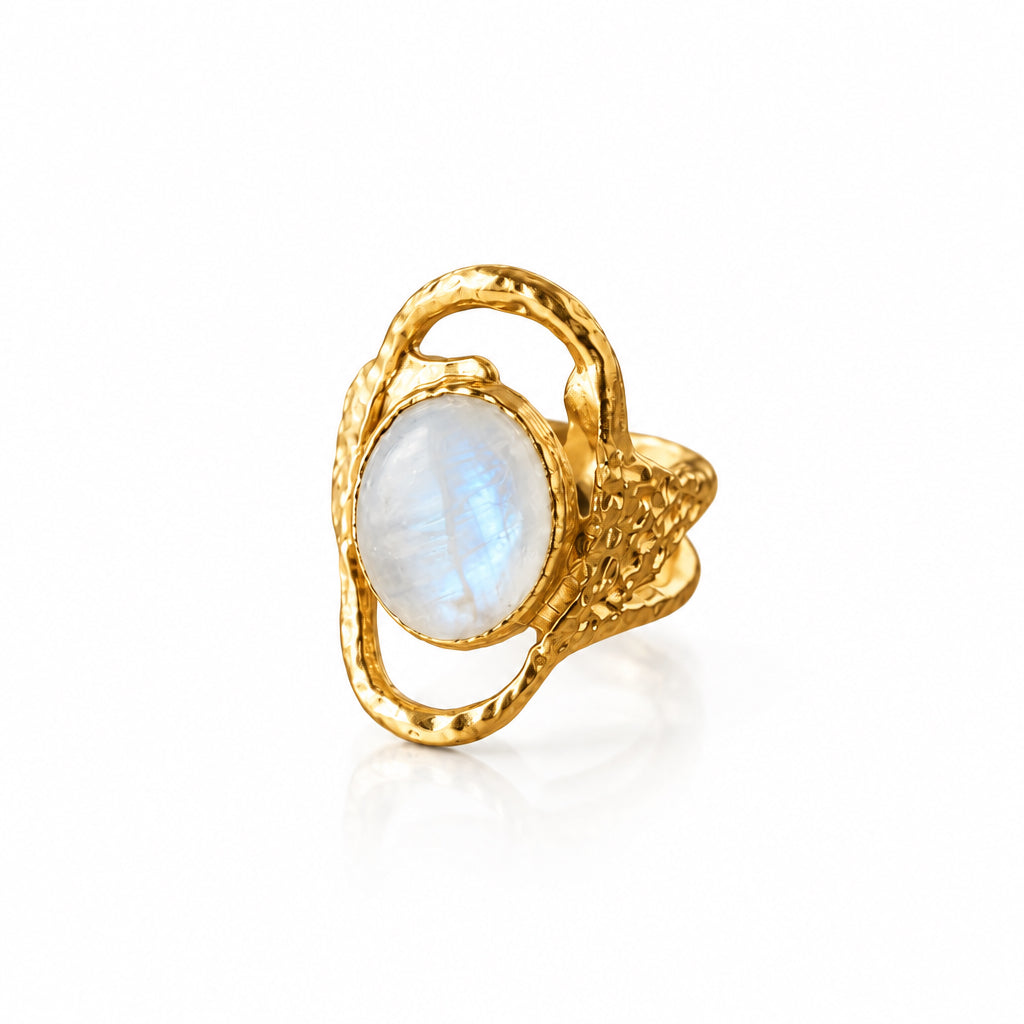Anillo terra stones